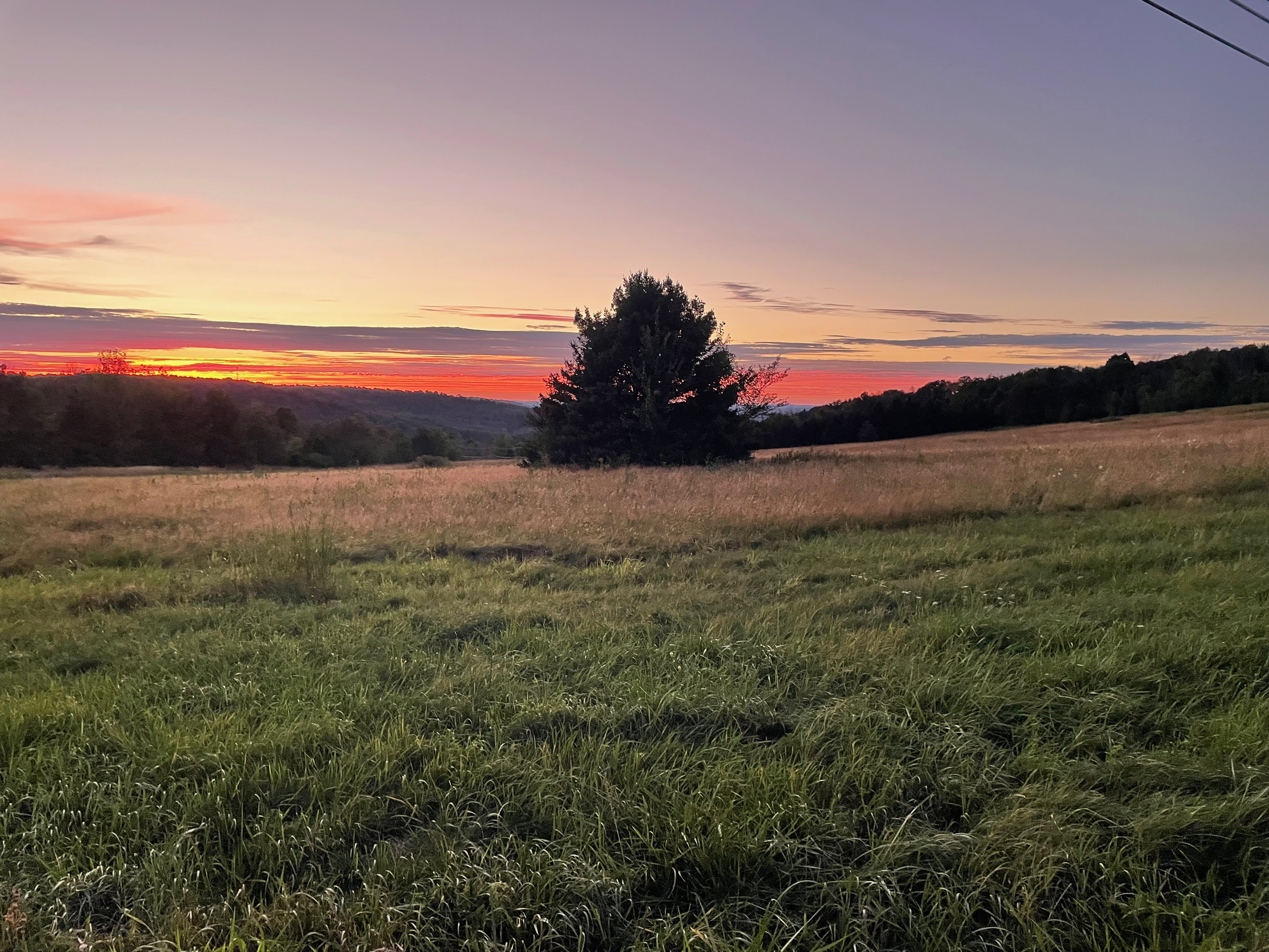 Resource Library background - scenic evening landscape